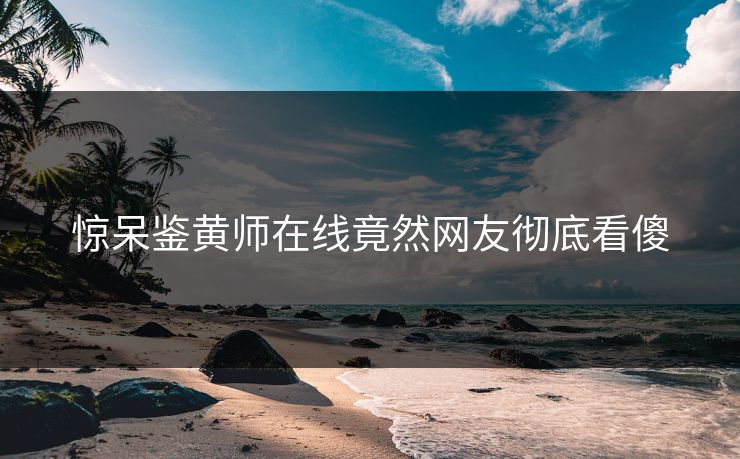惊呆鉴黄师在线竟然网友彻底看傻