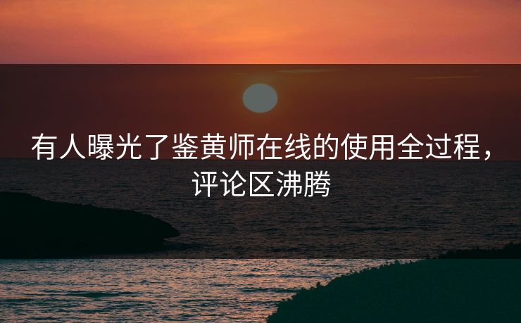 有人曝光了鉴黄师在线的使用全过程，评论区沸腾