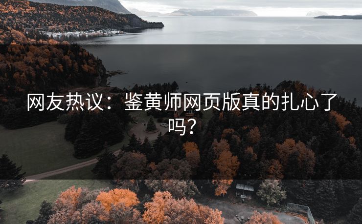 网友热议：鉴黄师网页版真的扎心了吗？