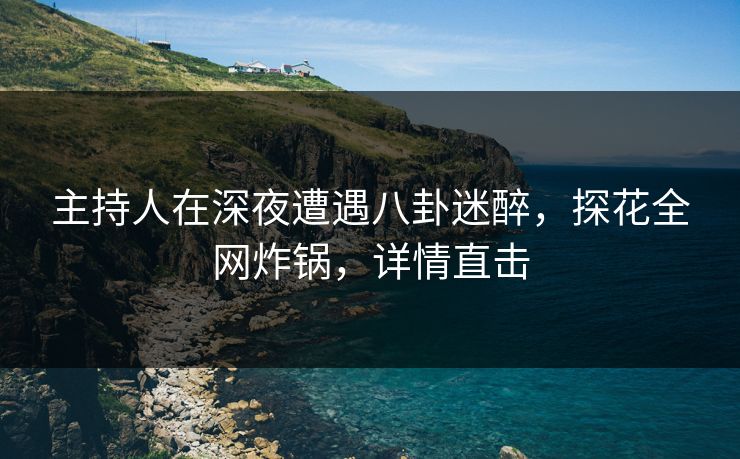 主持人在深夜遭遇八卦迷醉，探花全网炸锅，详情直击