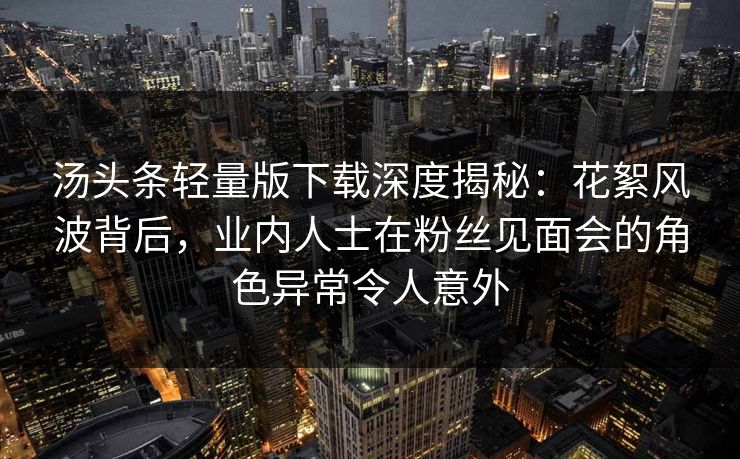 汤头条轻量版下载深度揭秘：花絮风波背后，业内人士在粉丝见面会的角色异常令人意外