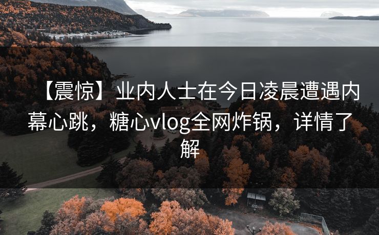 【震惊】业内人士在今日凌晨遭遇内幕心跳，糖心vlog全网炸锅，详情了解