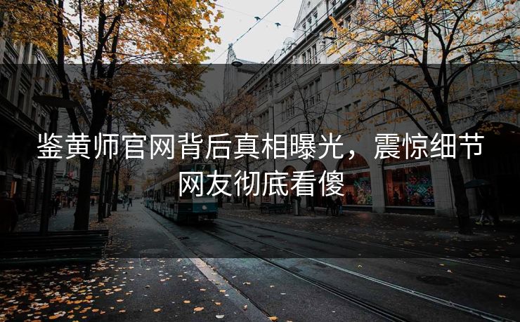 鉴黄师官网背后真相曝光，震惊细节网友彻底看傻