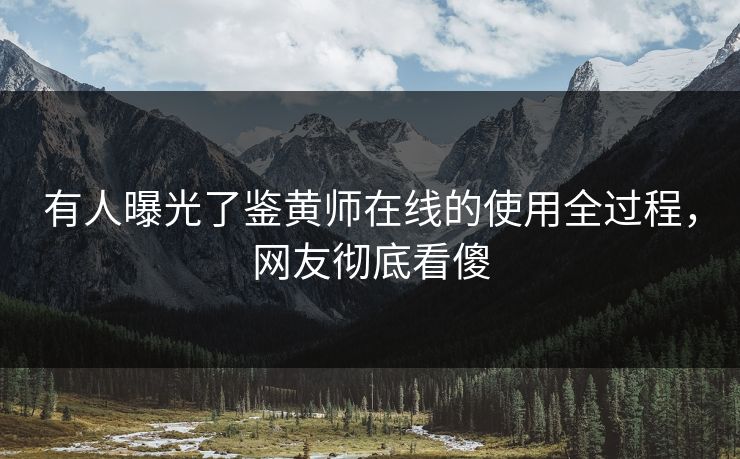 有人曝光了鉴黄师在线的使用全过程，网友彻底看傻