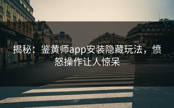 揭秘：鉴黄师app安装隐藏玩法，愤怒操作让人惊呆