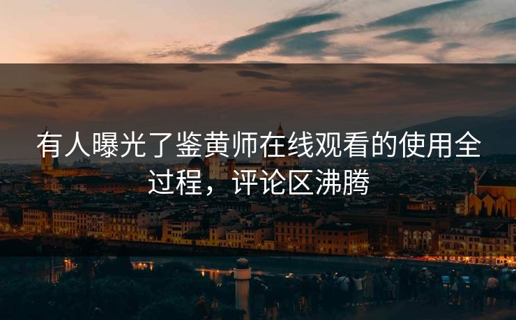 有人曝光了鉴黄师在线观看的使用全过程，评论区沸腾