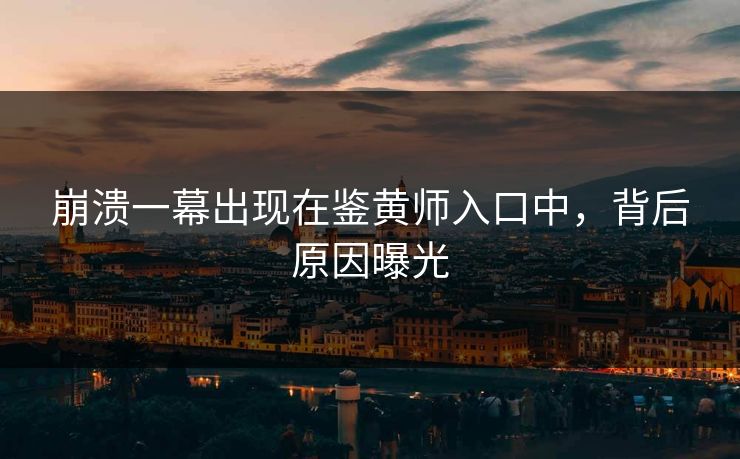 崩溃一幕出现在鉴黄师入口中，背后原因曝光