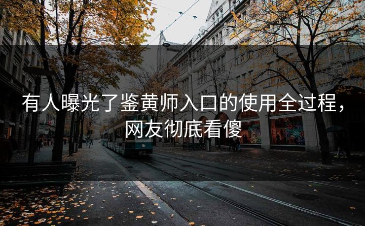 有人曝光了鉴黄师入口的使用全过程，网友彻底看傻