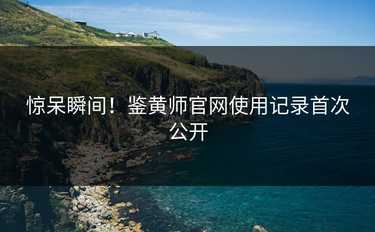惊呆瞬间！鉴黄师官网使用记录首次公开