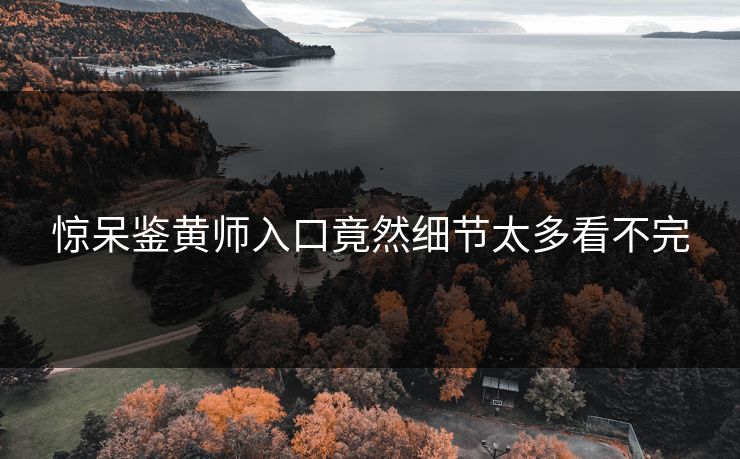 惊呆鉴黄师入口竟然细节太多看不完