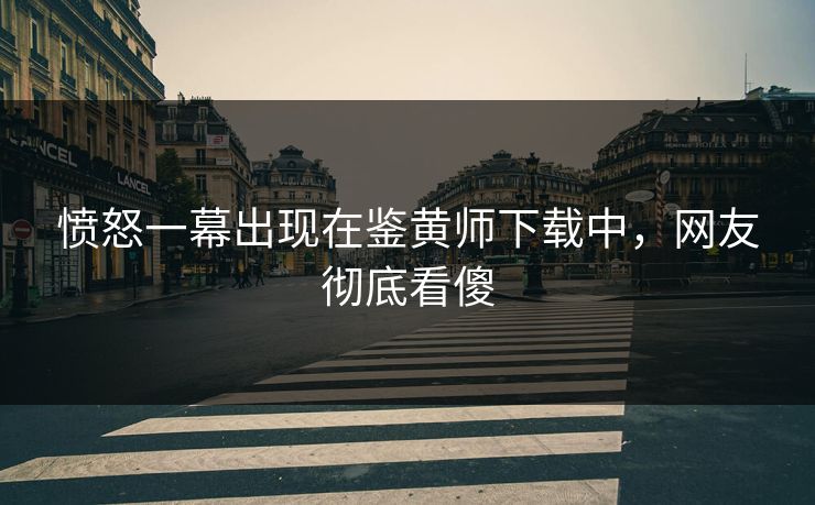 愤怒一幕出现在鉴黄师下载中，网友彻底看傻