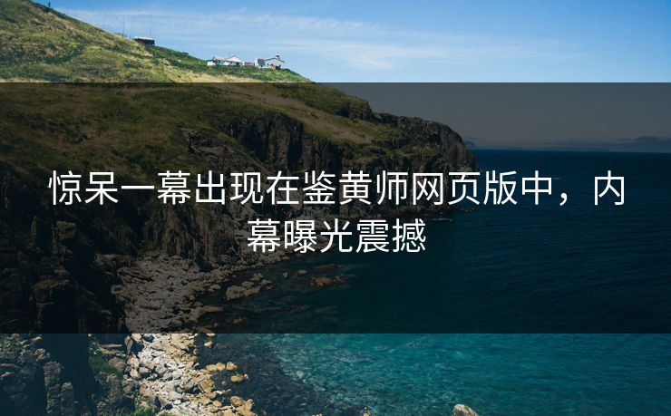 惊呆一幕出现在鉴黄师网页版中，内幕曝光震撼
