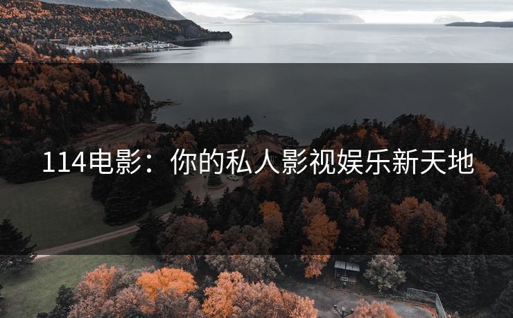114电影：你的私人影视娱乐新天地