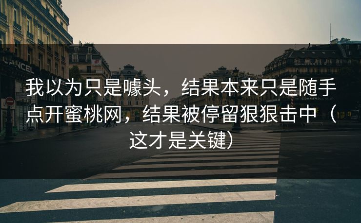 我以为只是噱头，结果本来只是随手点开蜜桃网，结果被停留狠狠击中（这才是关键）